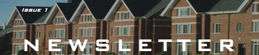 Newsletter, Issue 1